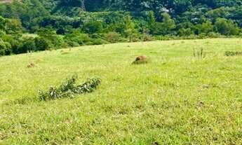 Imagem 5: R11- Vendo terreno proximo ao asfalto