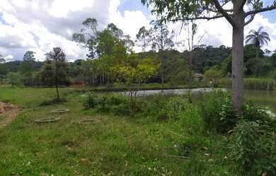 Imagem 4: Fazenda/Sítio/Chácara para venda tem 210000 metros quadrados com 6 quartos