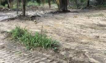 Imagem 4: TERRENOCAMAÇARI