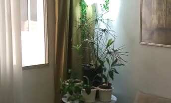 Imagem 2: Apartamento com 2 dormitórios à venda em Belo Horizonte