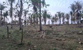 Imagem 2: Oportunidade vendo Sitio Frente para Rodovia à 35km de Marilia 3.2 Alqueires