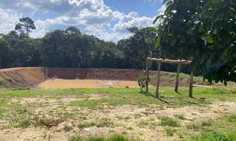 Imagem 6: Vendo chácara 3 alqueires lugar ótimo com casas rios etc