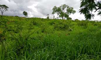 Imagem 6: Chacara em Mairipotaba com represa a 80 km de Goiânia chacaras 2 hectares aceito carro