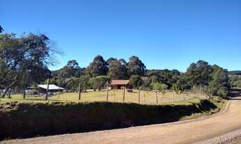 Imagem 6: Chácara em Vila Seca