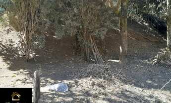 Imagem 4: Vendo Terreno no bairro Maravilha em Paty do Alferes - RJ