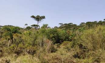 Imagem 6: Terreno para Venda, 435.600,00 m², Campo Alegre / SC, bairro Rodeio Grande