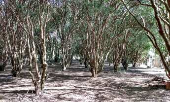 Imagem 6: Area 70 Mil Metros ( Construtoras e empreendimentos ) Ac Negociação