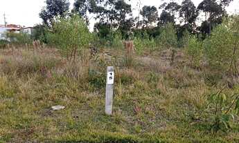 Imagem 7: Lote/Terreno para venda possui 372 metros quadrados em Campo Duna - Garopaba - SC