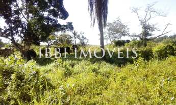 Imagem: Fazenda Larissa