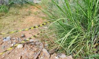 Imagem 3: Lote 450m2 murado condomínio antigo todo monitorado próximo da via estrutural rua 03 Vicen