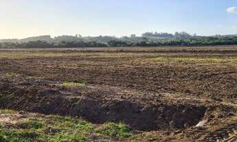 Imagem 2: Chácara em Triunfo