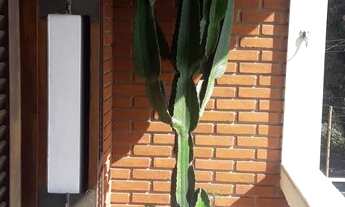 Imagem 3: Sobrado para venda com 128 metros quadrados com 3 quartos em Jardim Regina - São Paulo - S