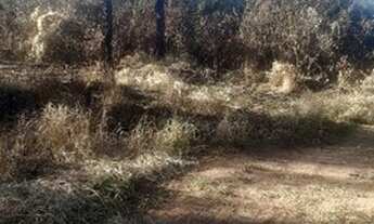 Imagem 6: Terreno Vale Do Iguapó