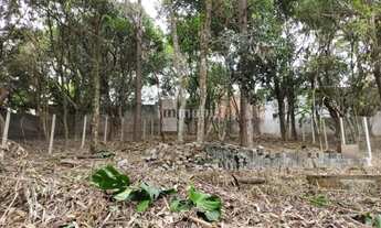 Imagem: FAZENDINHA - PARTE NOBRE