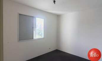 Imagem 7: São Paulo - Apartamento Padrão - Moema