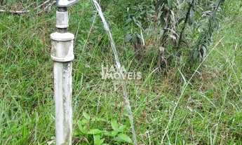 Imagem 3: Fazenda à venda, Borda do Campo, São José dos Pinhais, PR