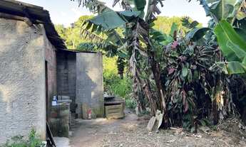 Imagem 2: São Lourenço da Serra - Chácara - Barrinha