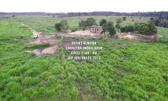 Imagem 6: 25 Alqueires formado em Machadinho-RO