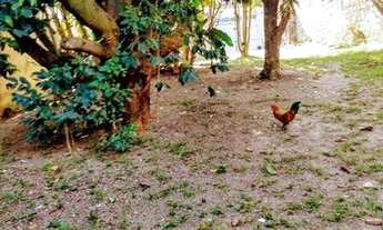 Imagem: Chácara com 1 dormitório à venda, 500