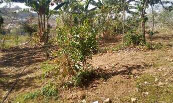 Imagem 5: Chácara 5200 MTS sítio de recreio ipê