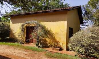 Imagem 5: Fazenda em Mococa-SP - 100 alqueires - Cana e Pasto