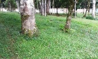 Imagem 6: Excelente chácara