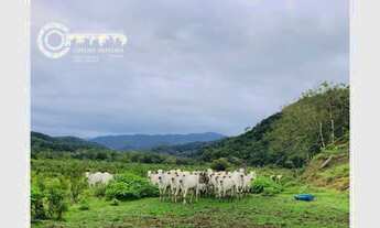 Imagem 7: Sitio a venda em Miracatu SP