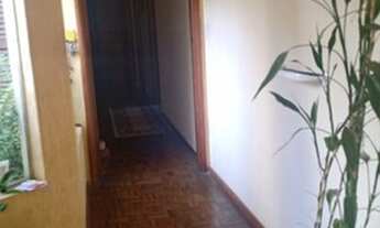 Imagem 5: Casa 03 dorm Próx USP - EXCELENTE PARA PONTO COMERCIAL