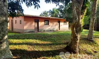 Imagem 7: Sítio - Condomínio Jardim das Palmeiras - Bragança Paulista