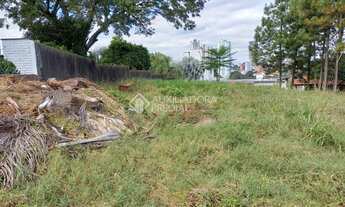 Imagem 4: NOVO HAMBURGO - Terreno Padrão - Vila Nova