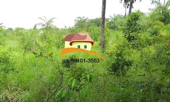 Imagem 2: Fazenda para Venda