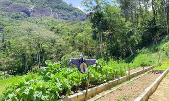 Imagem 5: Lote / Terreno em Amparo - Nova Friburgo