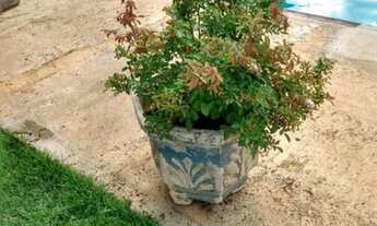 Imagem 5: Edícula para Venda em Araras, Jardim São João, 3 dormitórios, 1 suíte, 4 banheiros, 5 vaga