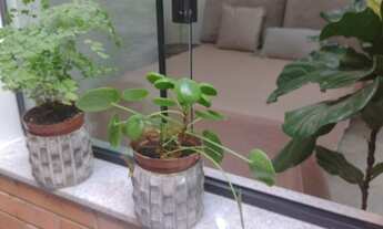 Imagem 5: Aluguel Apartamento com 2 dormitórios