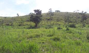 Imagem: Vendo 1 Alqueire ( 24.200m²