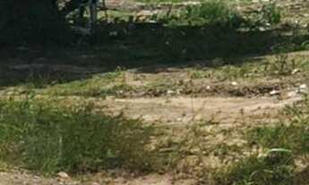 Imagem 2: Terreno para alugar no bairro Stella Maris - Salvador/BA