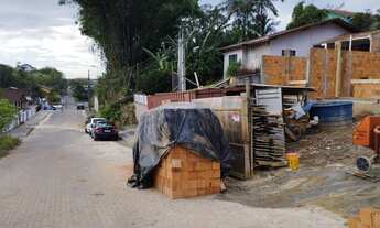 Imagem 6: Excelente Geminado Floresta