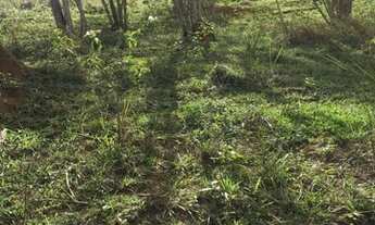 Imagem 5: Venha conferir ótima oportunidade de Morar em Área verde Residencial