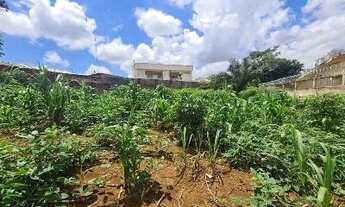 Imagem 2: Lote no Jardim Goiás, excelente localização