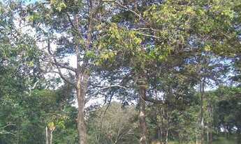 Imagem 6: Rural Fazenda / sítio com venda por R$34.000.000