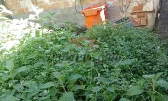 Imagem 5: Rio de Janeiro - Terreno Padrão - Pechincha