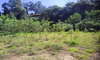 Imagem 3: Chácara com 3 dormitórios à venda, 17000 m² por R$ 4.500.000,00 - Chácaras São Bento - Val