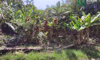 Imagem 2: Sítio à venda, 30142 m² por R$ 190.000,00 - Patrimônio - Massaranduba/SC