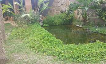 Imagem: Terreno Com Bendfeitorias