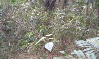 Imagem: TERRENO NO PLANALTO VERDE, SÃO ROQUE -SP