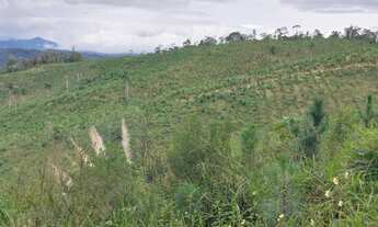 Imagem 3: CHÁCARA com 1 dormitório à venda com 339694m² por R$ 980.000,00 no bairro MACACOS - BOCAIU