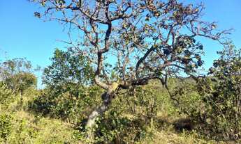 Imagem 6: Chácara Chácara com venda por R$35.000