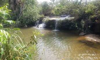 Imagem 3: Fazenda 1095 ha Rio Negro/MS