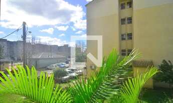 Imagem 6: Apartamento para Aluguel - Harmonia, 2 Quartos, 40 m2