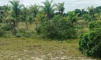 Imagem 3: Vendo 5 lotes de 12 por 30